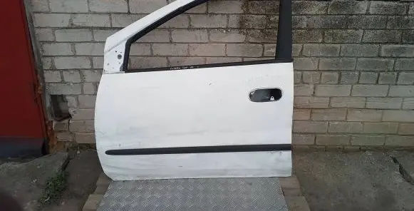 Nissan Almera Tino Front door