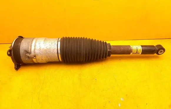 Tesla Model S Rear shock absorber/damper 6006353-00-C