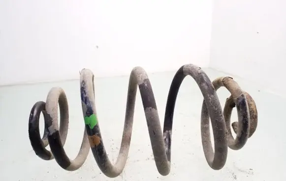 Volkswagen PASSAT B5 Rear coil spring