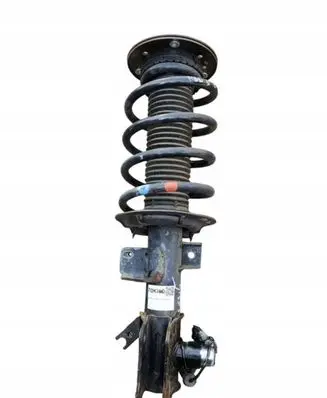 Ford Mondeo MK V Front shock absorber with coil spring DG9C18B061CCD