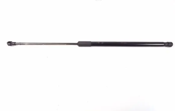 Tailgate strut