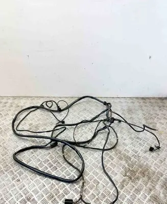 Other wiring loom