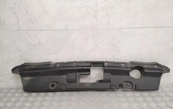 Engine bonnet/hood lock trim molding