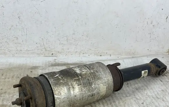 Land Rover Range Rover Sport L320 Air suspension front shock absorber RNB501310