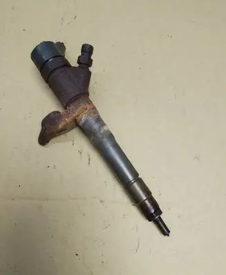 Fiat Ducato Fuel injector 504389548 0445110418