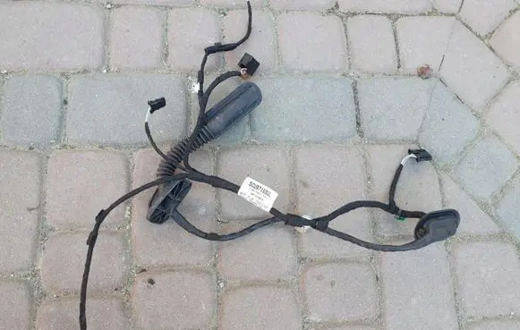 Volkswagen Jetta VI Rear door wiring loom 5CU971693L