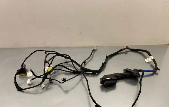 Hyundai Kona II Front door wiring loom 91600HF320