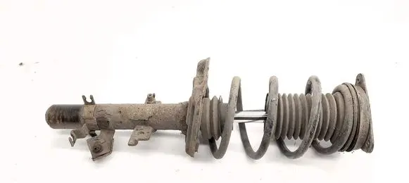 Nissan Qashqai Front shock absorber/damper 
