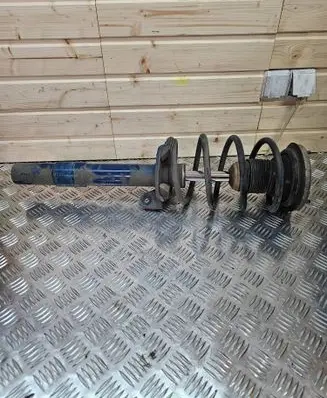 Front shock absorber/damper