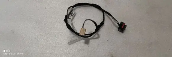 Rear door wiring loom