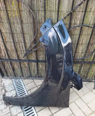 Ford Focus C-MAX Fender