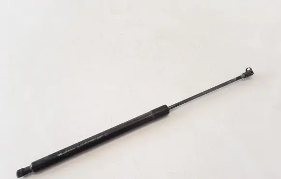 Renault Scenic III - Grand scenic III Tailgate strut 904500004R