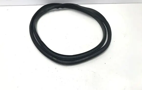 Renault Megane E-Tech Rear door rubber seal (on body) 769241726R