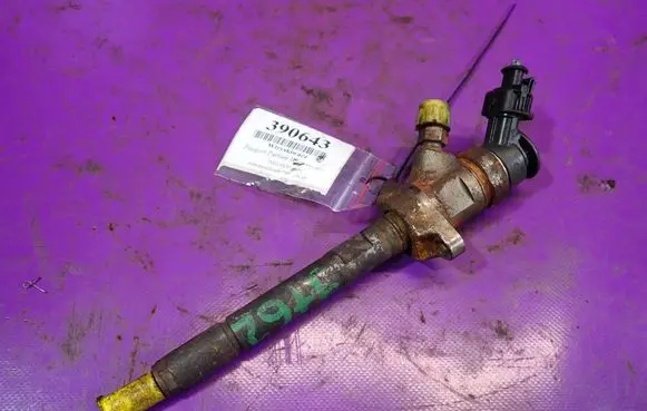 Peugeot Partner Fuel injector 