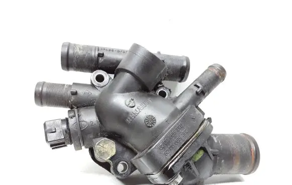 Thermostat/thermostat housing