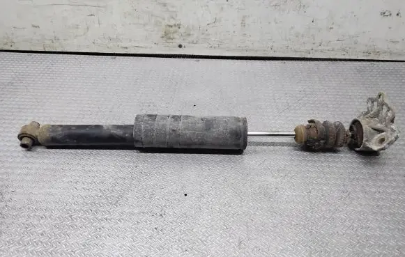Fiat Punto (199) Rear shock absorber/damper