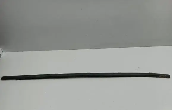Honda Civic IX Front door glass trim molding