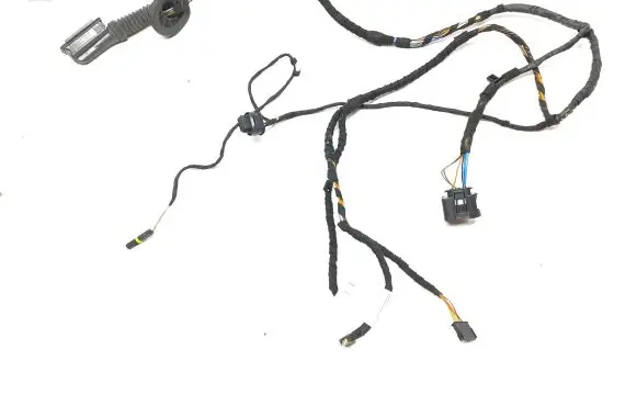 BMW X2 F39 Rear door wiring loom 8D3374 8803374