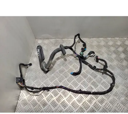 Front door wiring loom