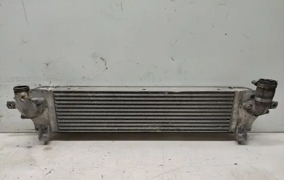 Nissan Qashqai Intercooler radiator 14461JD50A