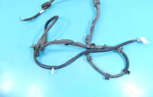 Other wiring loom