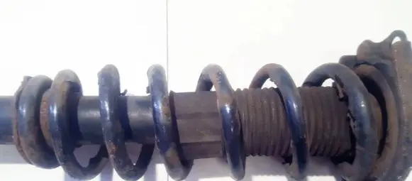 Toyota Corolla Verso AR10 Rear coil spring