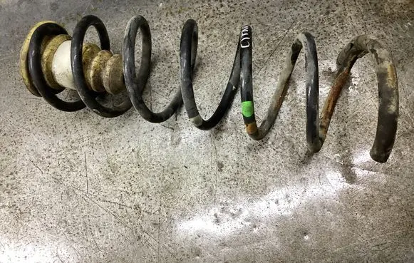 Rear coil spring