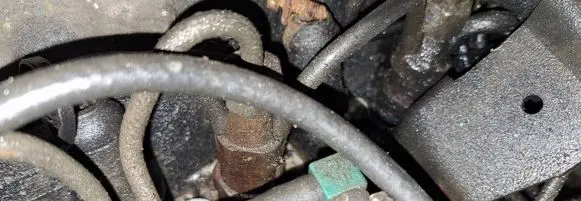 Peugeot 406 Fuel injector 