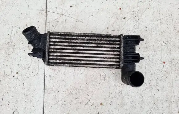 Peugeot 607 Intercooler radiator