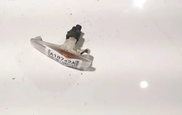 Front fender indicator light