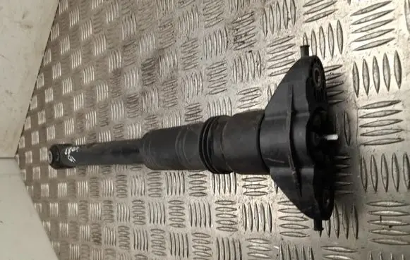 Fiat 600 Rear shock absorber/damper 9846716480