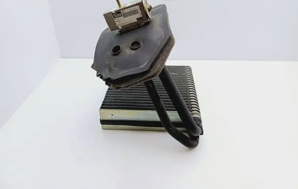 Mercedes-Benz A W168 Air conditioning (A/C) radiator (interior) A1688300284