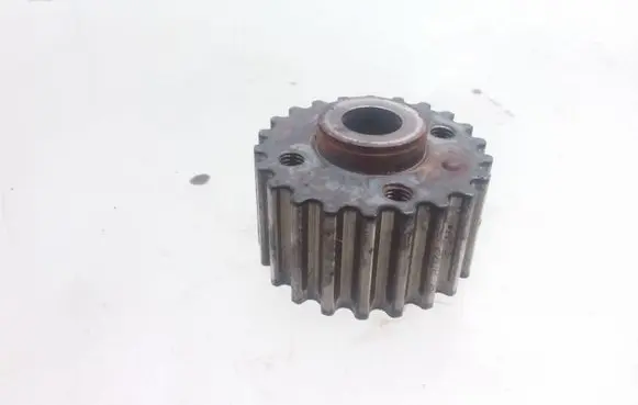 Volkswagen PASSAT B6 Crankshaft gear 038105263H
