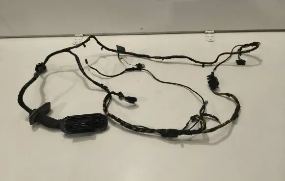 BMW X5 E70 Front door wiring loom 920327801