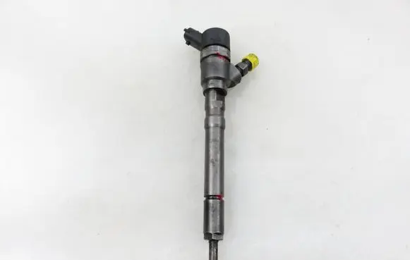 Hyundai Santa Fe Fuel injector 0445110064 3380027010