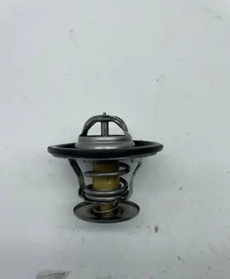 Volkswagen PASSAT B6 Thermostat 044121113