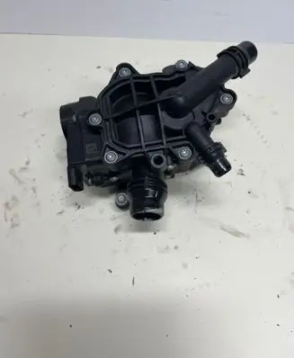 Thermostat/thermostat housing