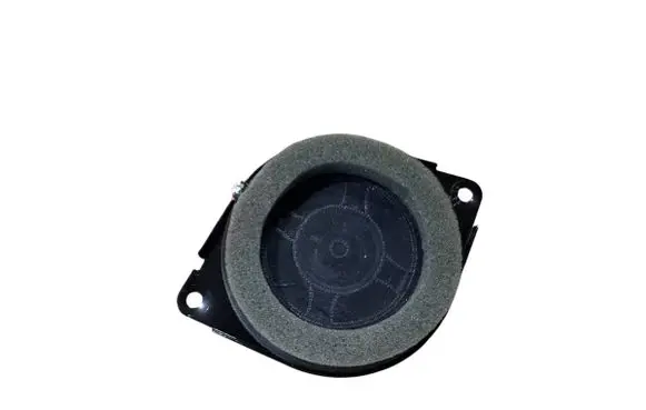Panel speaker
