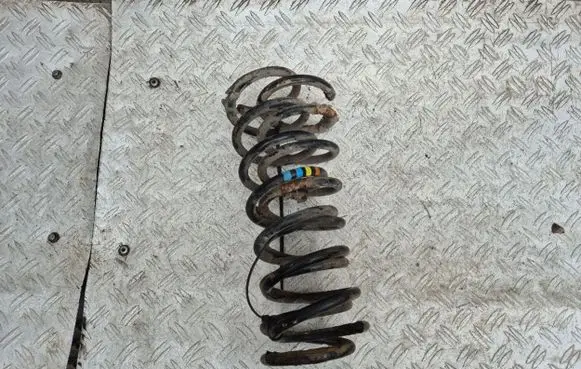 Ford C-MAX I Rear coil spring