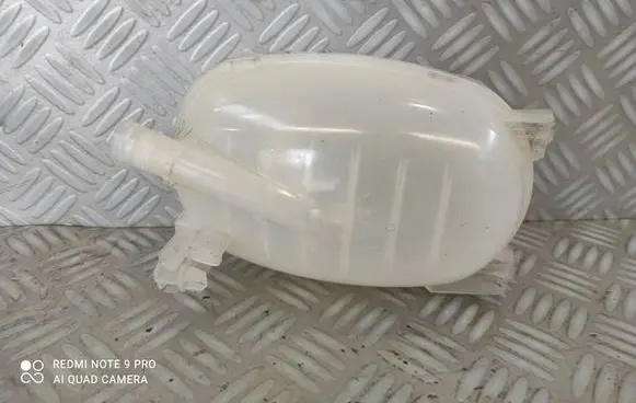 Renault Clio V Coolant expansion tank/reservoir 217102572R