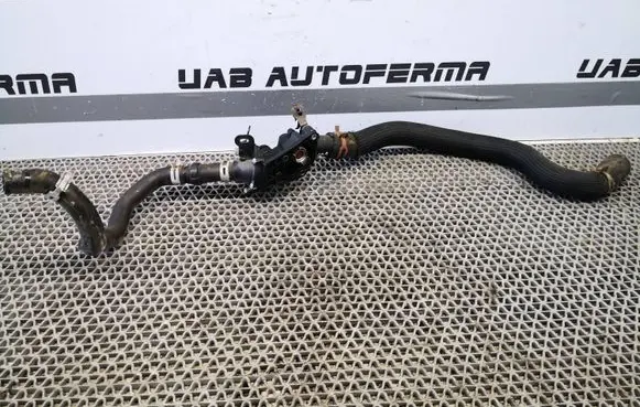 Thermostat/thermostat housing