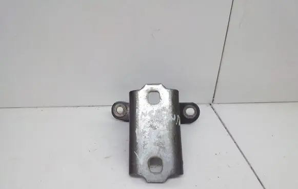 Opel Insignia A Front door lower hinge 