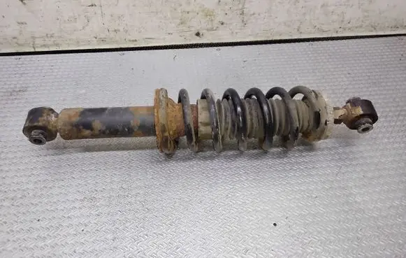 Peugeot 407 Rear shock absorber with coil spring 