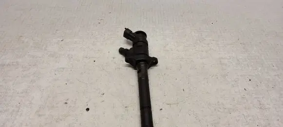 Citroen C5 Fuel injector 0445110297 0C208FF8CC 620026