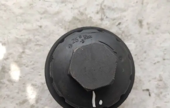 Volkswagen Touareg I Oil filter cover 6790839430