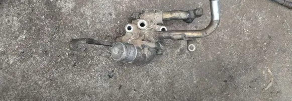 Thermostat/thermostat housing