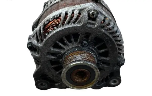 Renault Laguna III Generator/alternator 8200654785 A004TJ0282