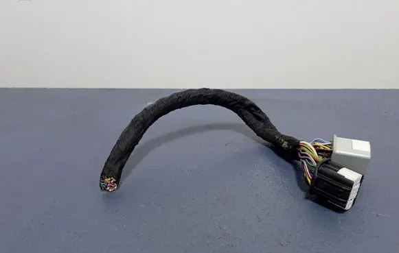 Ford Ecosport Other wiring loom