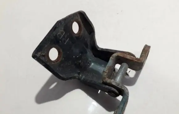 Rear door lower hinge