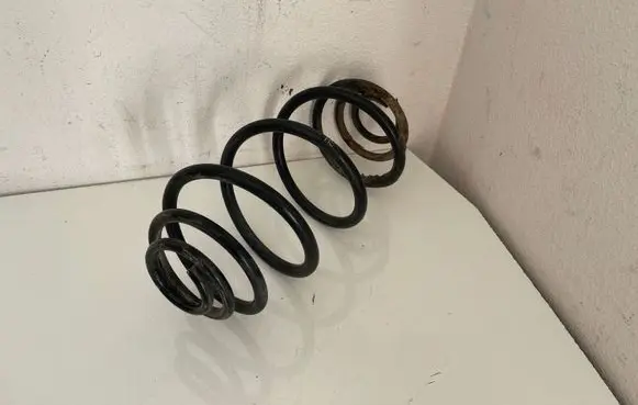 Rear coil spring
